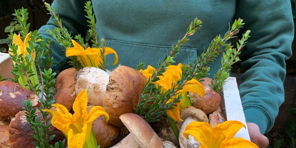 Frutteto-Fratelli-Galantino_www.fratelligalantino.it-5-1