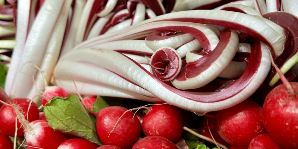 radicchio-rapanelli